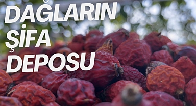 Dağların Şifa deposu