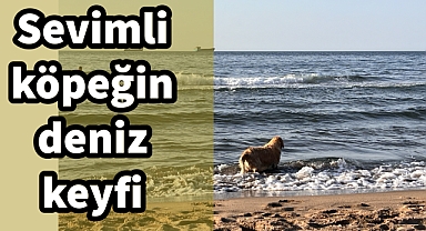 Denizin keyfini o da çıkardı!