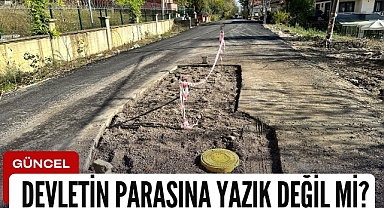 Devletin parasına yazık değil mi?