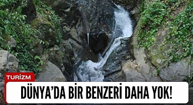 Dünya’da bir benzeri daha yok!
