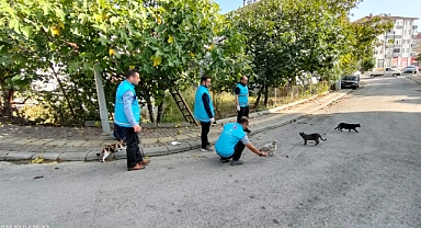 Elleriyle beslediler