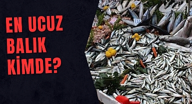 En ucuz balık kimde?