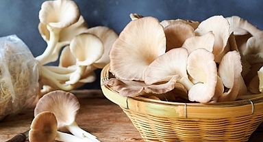 Et yiyemeyen onu yiyor! 