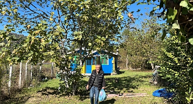 Evini sarı laciverte boyadı