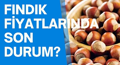 Fındık fiyatlarında şok!