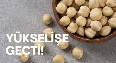 Fiyatlar yeniden yükselmeye başladı