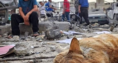 İsrail, yerleşimci değil işgalcidir