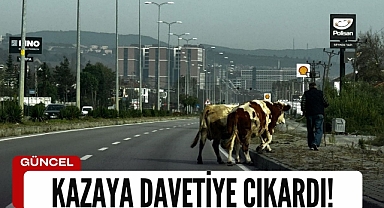 Kazaya davetiye çıkardı!