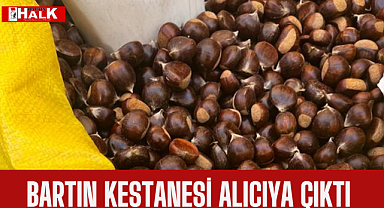 Kestane pazarda yerini aldı, fiyatı..