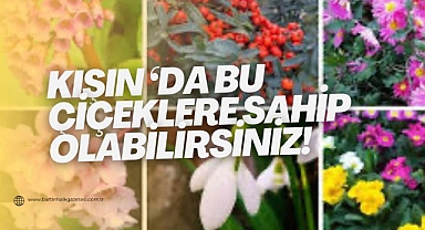 Kışın bu çiçeklere sahip olabilirsiniz
