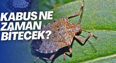 Kabus ne zaman bitecek?