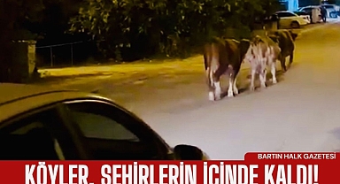 Köyler, şehirlerin içinde kaldı