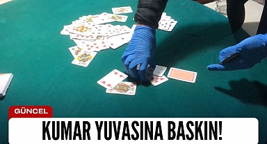 Kumar yuvasına baskın!
