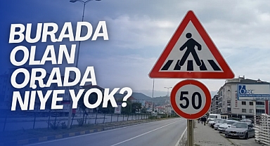 O da yaya geçidi bu da yaya geçidi!