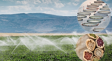 Ödemeler hesaplarda!