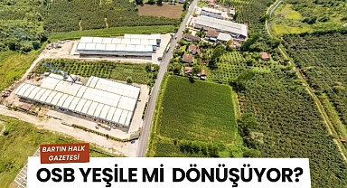 OSB yeşile mi dönüşüyor?