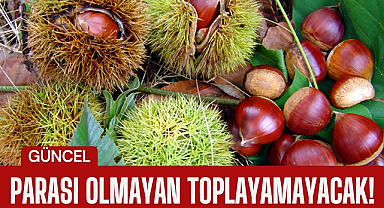 Parası olmayan toplayamayacak!