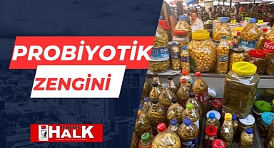 Probiyotik zengini