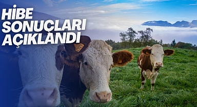 Sonuçlar açıklandı!