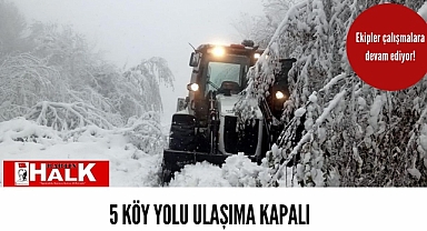 5 köy yolunda çalışmalar devam ediyor