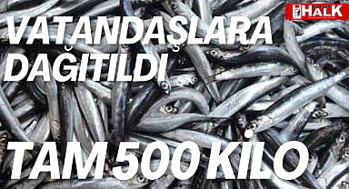 500 kilo balık dağıtıldı