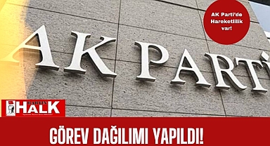 AK Parti Gençlik Kolları Yönetim Kurulu belli oldu
