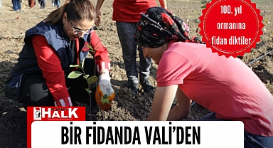 Bir fidanda Vali’den