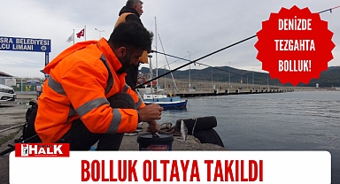 Bolluk oltaya takıldı