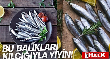 Bu balıkları kılçığıyla yiyin!