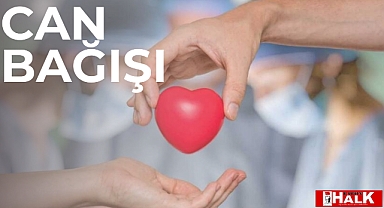 Can bağışı