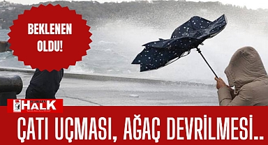 Çatı uçması, ağaç devrilmesi..