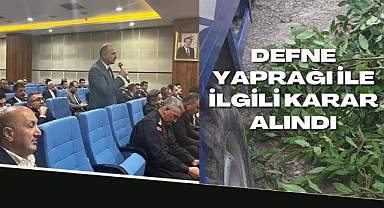 Defne Yaprağı ile ilgili karar alındı
