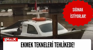Ekmek teknelerine sığınak istiyorlar!