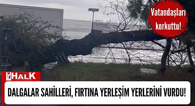 Fırtına ağaç devirdi!