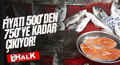 Fiyatı 500’den 750’ye kadar çıkıyor