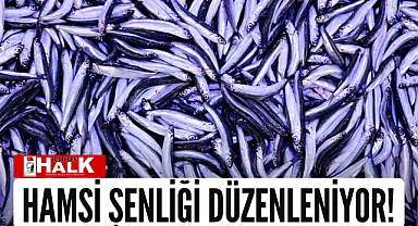 Hamsi şenliği düzenleniyor!