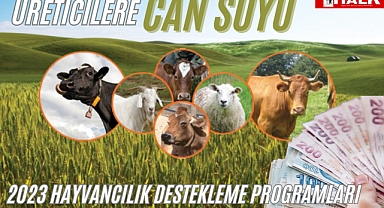 Hayvancılık destekleri açıklandı!