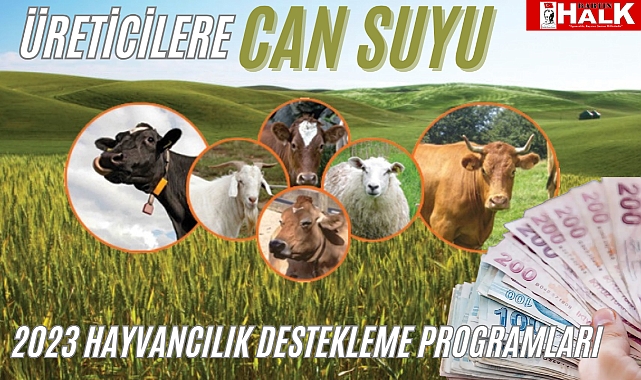 Hayvancılık destekleri açıklandı!