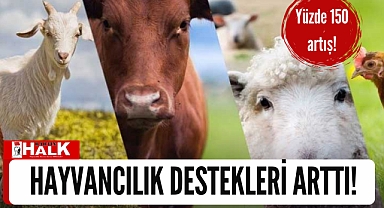 Hayvancılık destekleri arttı!