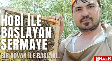Hobi olarak başlayan arıcılık mesleğe dönüştü