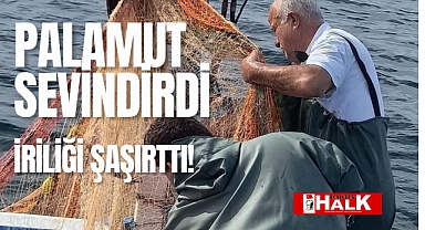 İri palamut sevindirdi