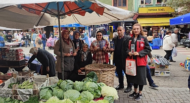 Kadına yönelik şiddetle mücadele sürüyor