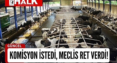 Komisyon istedi, Meclis ret verdi!