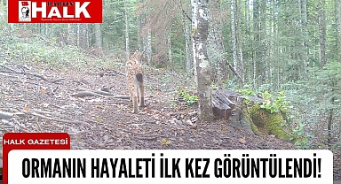 Ormanın hayaleti ilk kez görüntülendi!