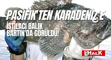 Pasifik'ten Karadeniz'e