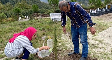 Şehidin anısına fidan dikildi