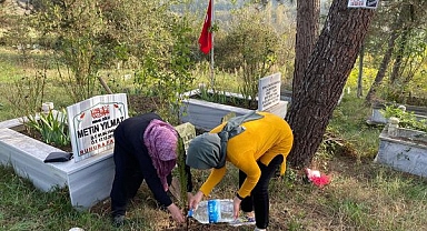 Şehidin anısına fidan dikildi