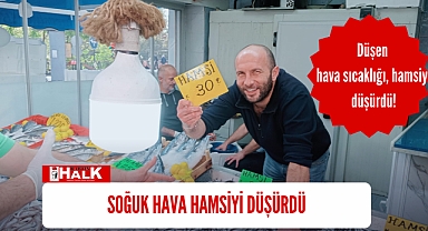 Soğuk hava hamsiyi düşürdü