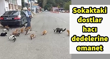 Sokaktaki dostlar hacı dedelerine emanet