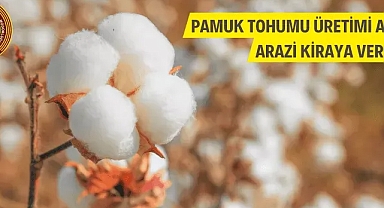 TİGEM pamuk tohumu üretimi amaçlı arazi kiraya verecek